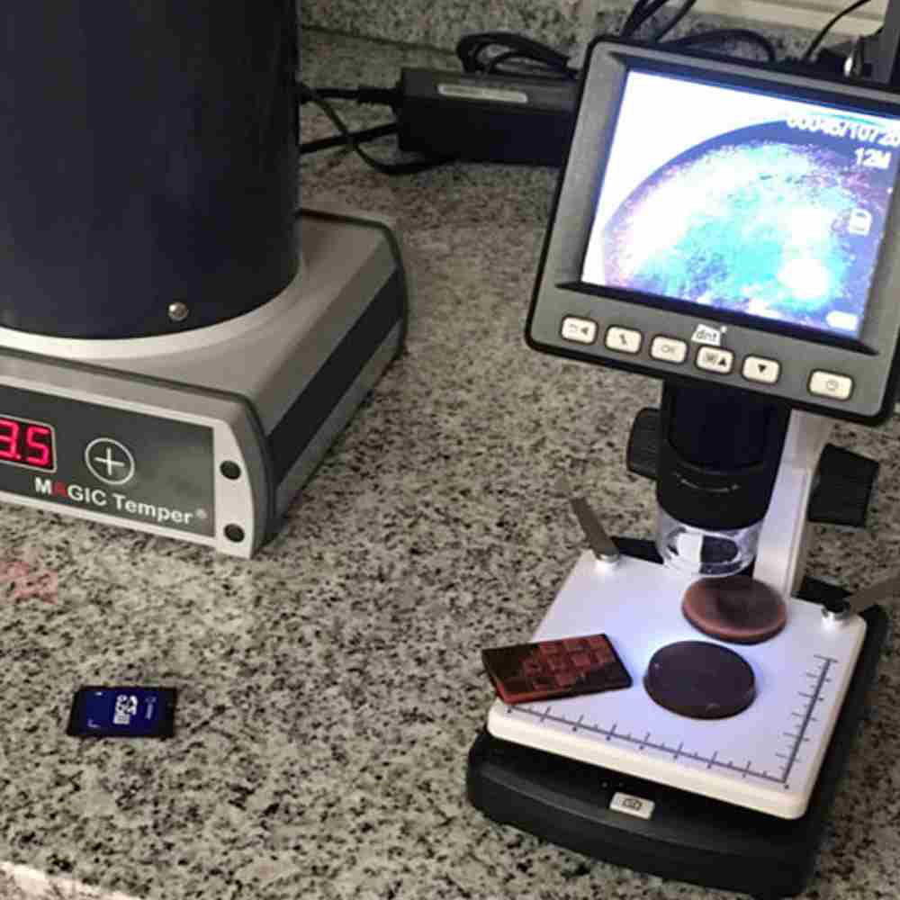 Consultation - Truffly Made